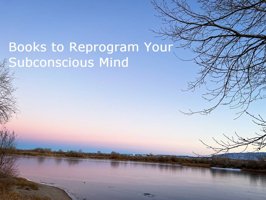 books to reprogram your subconscious
